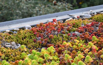 the cost of Crew Upper green roof installation