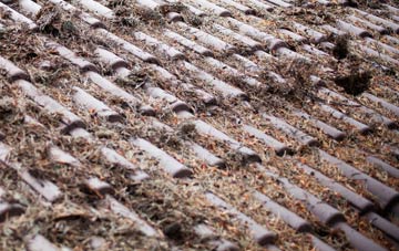 Crew Upper roof cleaning companies